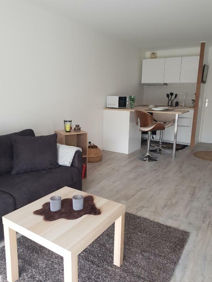 Ferienwohnung Laurier Toulouse Exterior foto